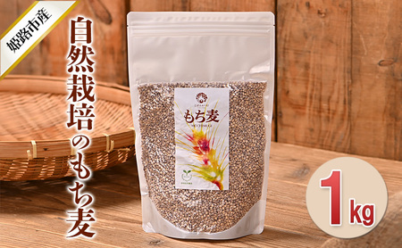 もち麦 自然栽培 ダイシモチ 1kg 無農薬 もち麦