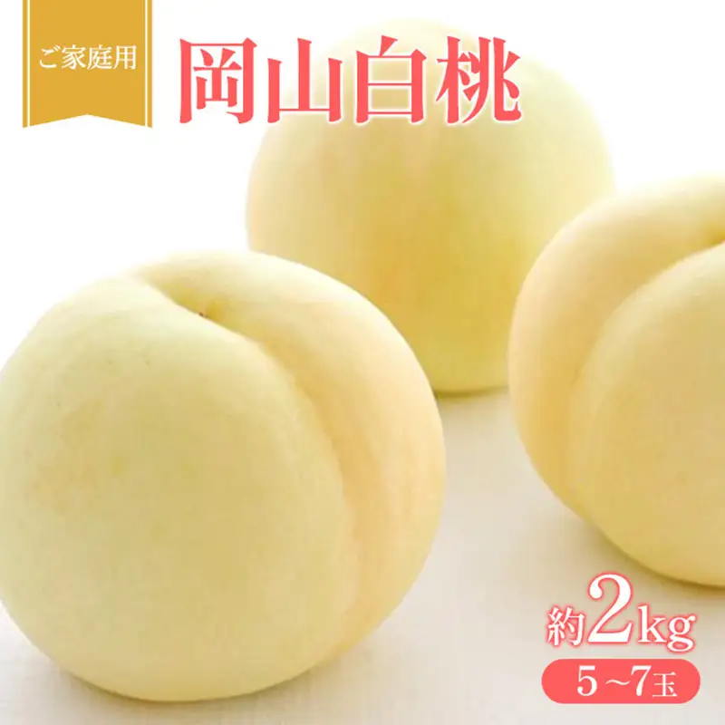 桃 白桃 家庭用 岡山県産 白桃【約2kg5～7玉】【先行受付】