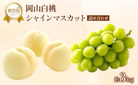 フルーツ 詰合せ 白桃 シャインマスカット 贈答用 岡山県産 フルーツ 詰合せ 【約3kg】 【先行受付】
