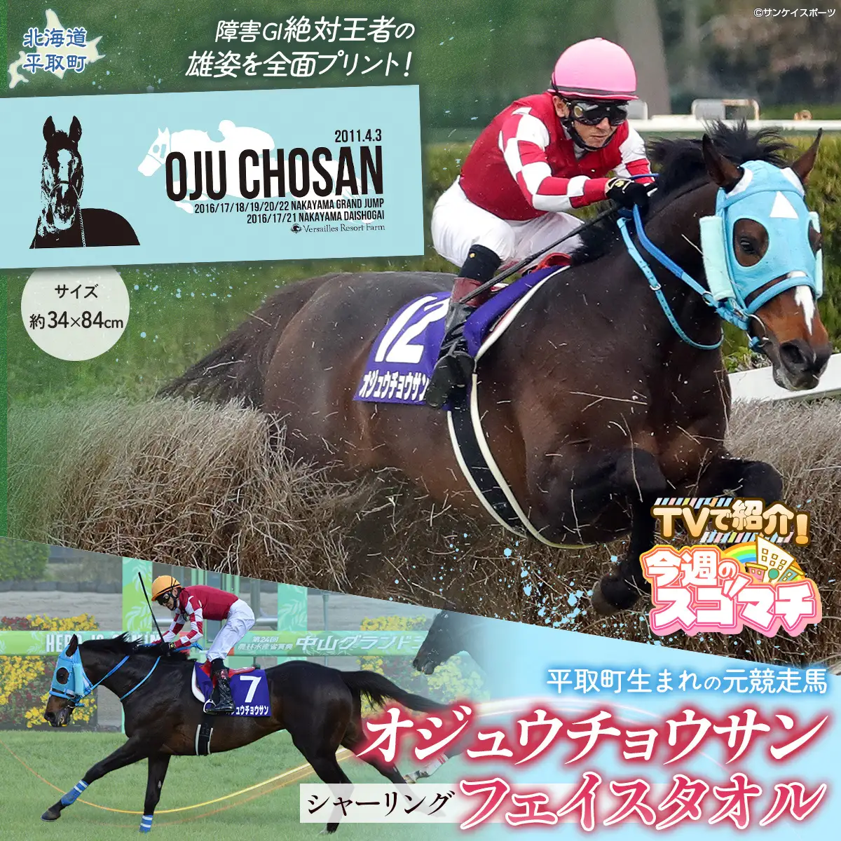 【TVで紹介！ 】【オジュウチョウサン】シャーリングフェイスタオル BRTV010