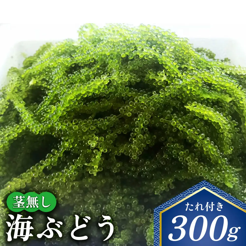 海ぶどう 茎無し海ぶどう 300g（たれ付き）