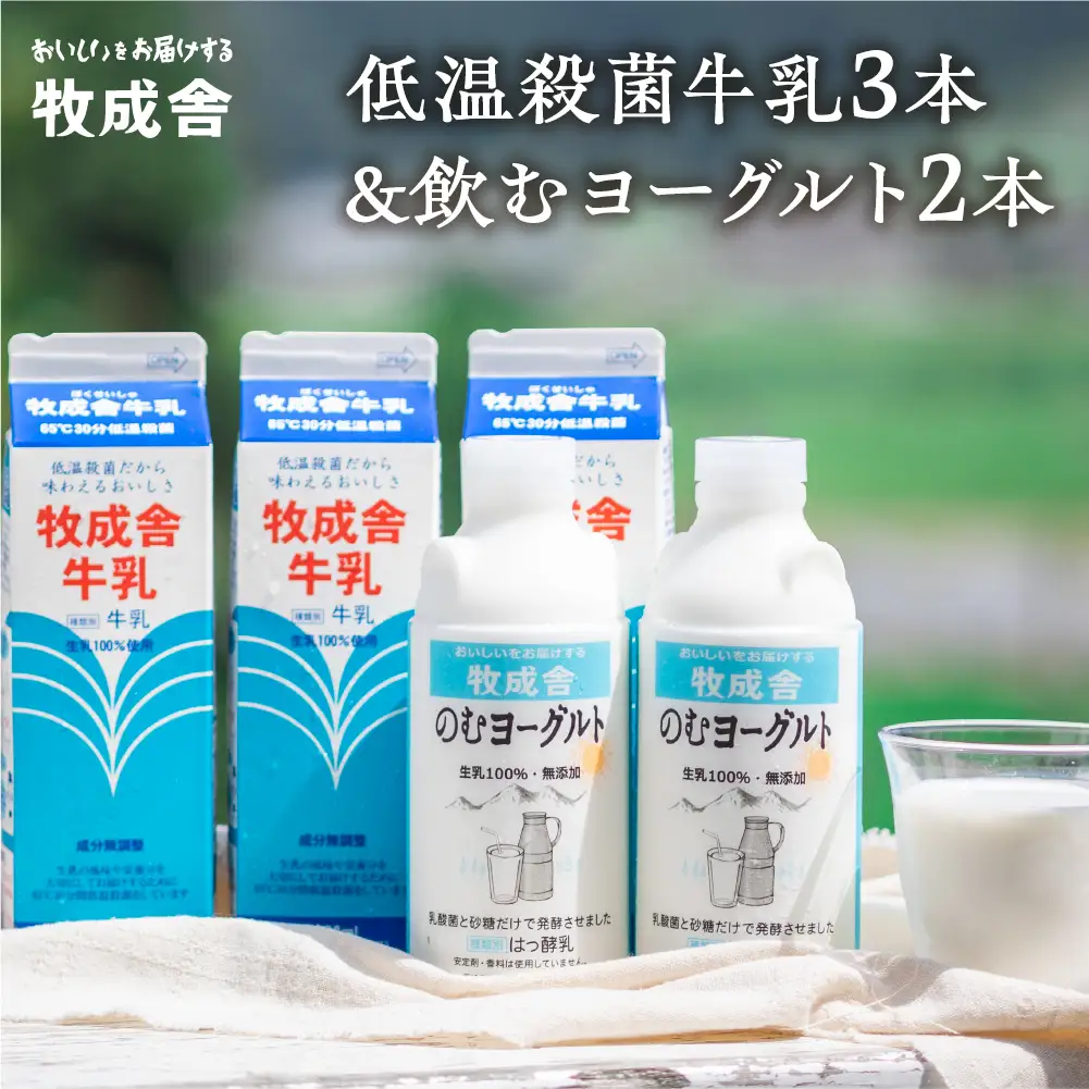 牧成舎 低温殺菌牛乳 3本 無添加 飲むヨーグルト 2本 飛騨産生乳100%使用 [AI005]