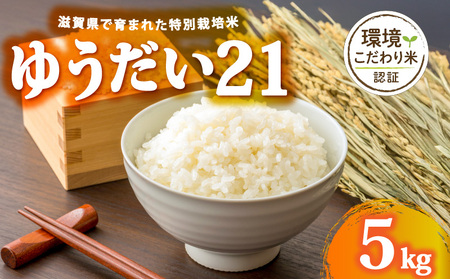 【 令和7年産 5kg 】 ゆうだい21 米 白米 2025年産 ゆうだい 国産 滋賀県 日野町 農家直送 お米 精米 おこめ こめ 産地直送 ふるさと納税