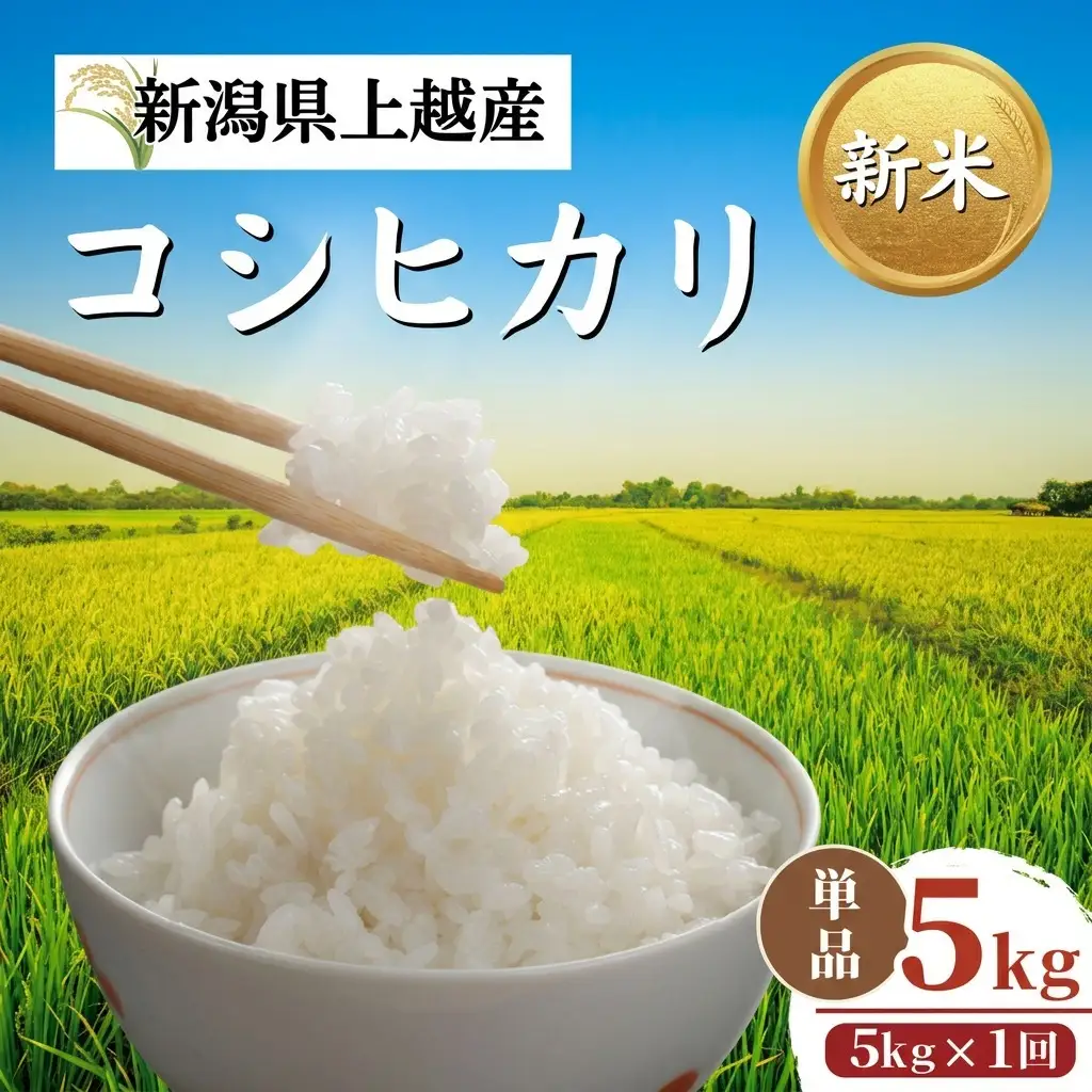 【令和8年11月配送】新米予約 コシヒカリ 5kg コシヒカリ 新潟県
