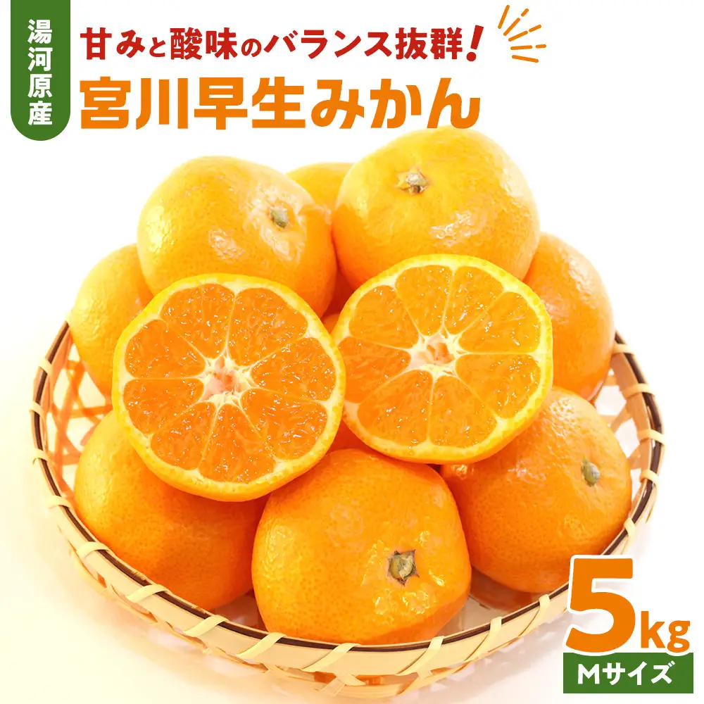 甘みと酸味のバランス抜群・宮川早生みかん　5kg(Mサイズ) 　2026年11月中旬～下旬頃に発送予定| 湯河原町 Mサイズ 5kg 果物 旬 柑橘系 宮川早生みかん