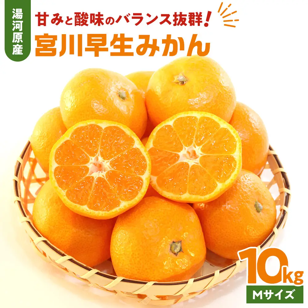 甘みと酸味のバランス抜群・宮川早生みかん　10kg(Mサイズ) 　2026年11月中旬～下旬頃に発送予定| 湯河原町 Mサイズ 10kg 宮川早生みかん 果汁たっぷり 旬の果物