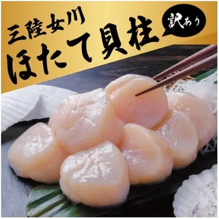 訳あり　冷凍ほたて貝柱(生食用) 500g/CAS凍結/三陸 女川町【配送不可地域：離島】【1678566】