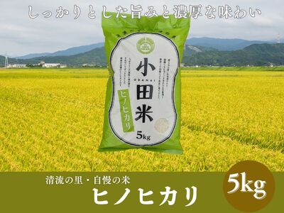 令和7年度産米　ヒノヒカリ 5kg