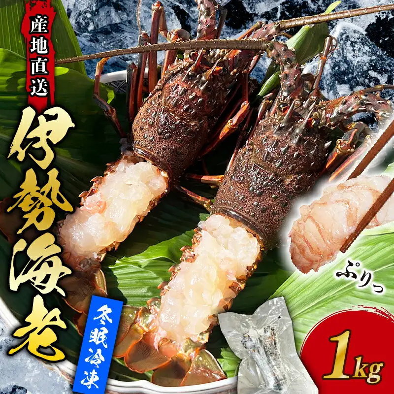 【 訳あり 】 伊勢海老 冷凍 1kg いせえび 海老