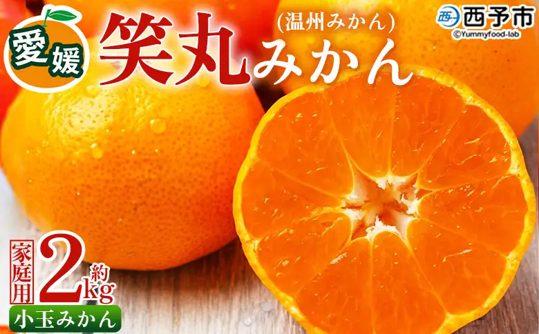 ＜愛媛県明浜産 笑丸みかん（温州みかん）約2kg 小玉サイズ＞ 家庭用 訳あり ワケアリ 果物 くだもの フルーツ ミカン 柑橘 特産品 笑丸 愛媛県 西予市【常温】『2026年11月中旬～2027年1月上旬迄に順次出荷予定』AAN0062