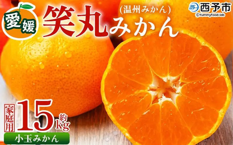 ＜愛媛県明浜産 笑丸みかん（温州みかん）約15kg 小玉サイズ＞ 家庭用 訳あり ワケアリ 果物 くだもの フルーツ ミカン 柑橘 特産品 笑丸 愛媛県 西予市【常温】『2026年11月中旬～2027年1月上旬迄に順次出荷予定』AAN0066