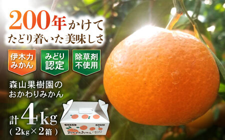 伊木力産 森山果樹園のおかわりみかん 4kg(2kg×2) / みかん ミカン 柑橘 伊木力みかん 温州みかん 2kg 4kg / 諫早市 / 森山果樹園　[AHCO006]