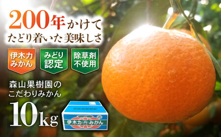 伊木力産 森山果樹園のこだわりみかん 10kg / みかん ミカン 柑橘 伊木力みかん 温州みかん / 諫早市 / 森山果樹園[AHCO007]