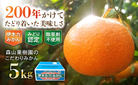 伊木力産　森山果樹園のこだわりみかん 5kg / みかん ミカン 柑橘 伊木力みかん 温州みかん / 諫早市 / 森山果樹園[AHCO008]