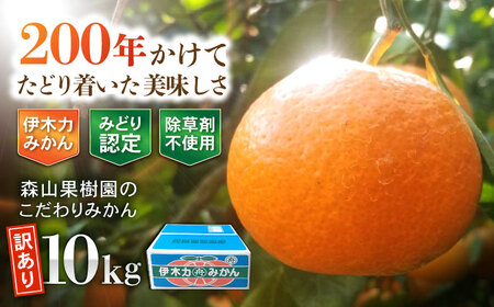 【訳あり】伊木力産　森山果樹園のこだわりみかん 10kg / みかん ミカン 柑橘 伊木力みかん 温州みかん / 諫早市 / 森山果樹園[AHCO009]