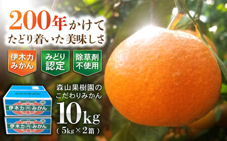 伊木力産　森山果樹園のこだわりみかん　10kg(5kg×2) / みかん ミカン 柑橘 伊木力みかん 温州みかん 10kg / 諫早市 / 森山果樹園[AHCO010]