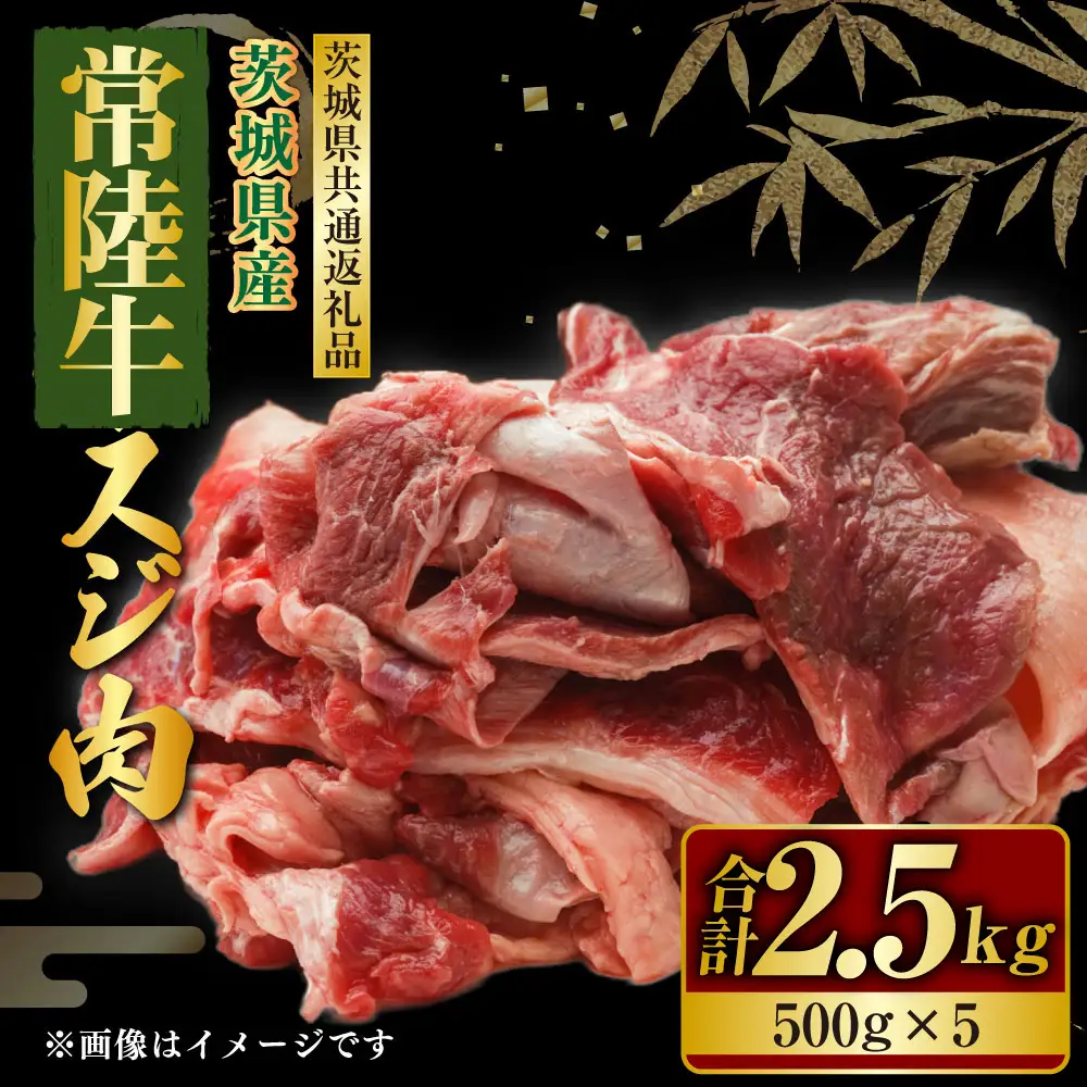常陸牛 スジ肉 500g×5 合計2.5kg（茨城県共通返礼品） | 小分け 茨城県産 牛すじ煮込み おでん カレー 冷凍 国産