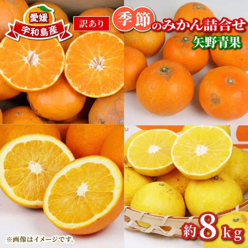 みかん】訳ありみかん詰め合わせ8kg矢野青果|B010-171033 | 愛媛県