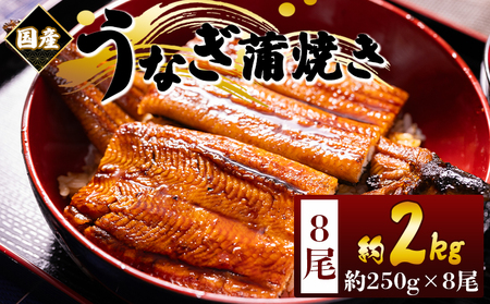 国産蒲焼きうなぎ ２５０ｇ ８尾 計２０００ｇ fb-0172