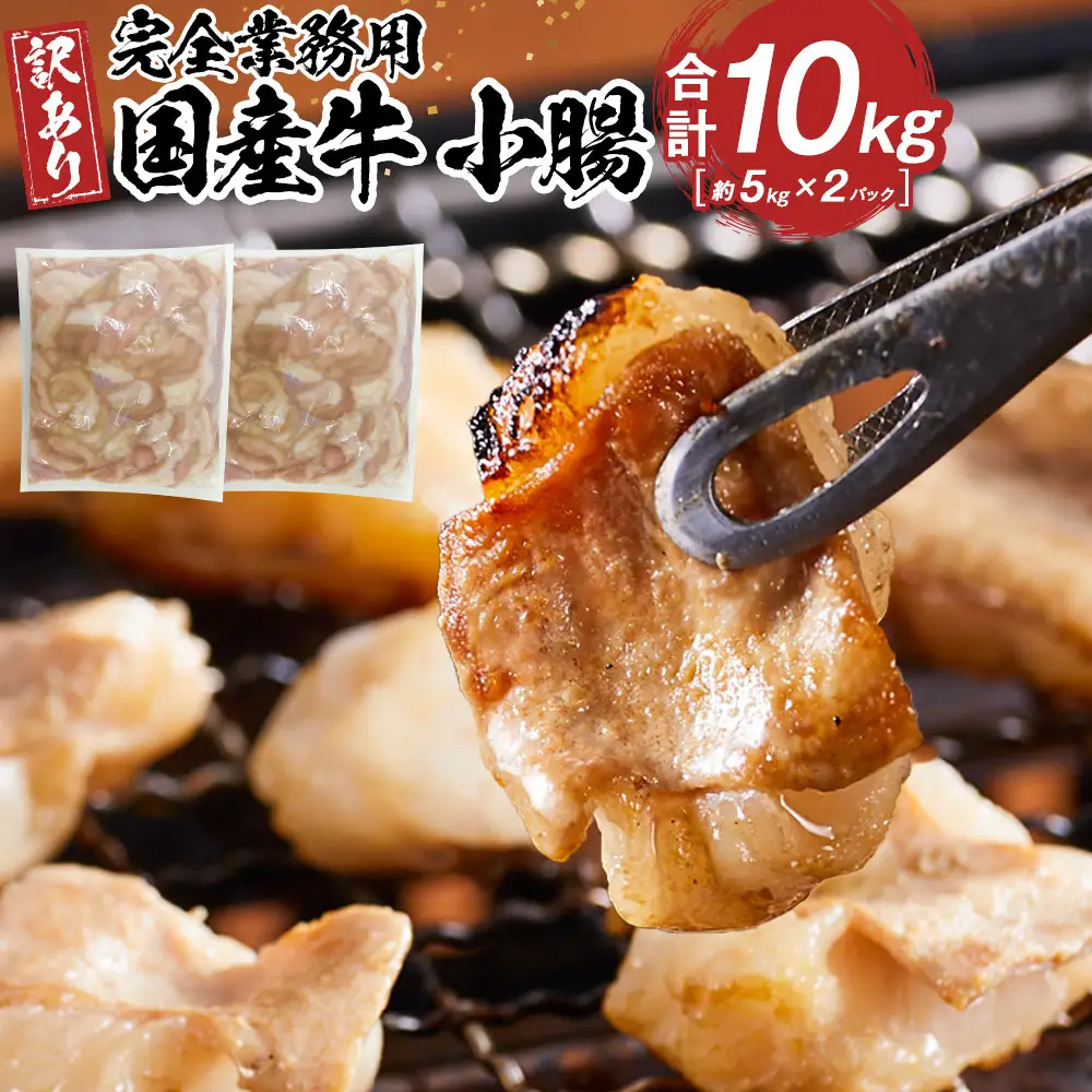 《完全業務用》国産牛　小腸　10kg