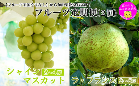 【2026年発送分】【やまなしフルーツ定期便（２回）】 山梨おいしい果物園のシャインマスカット 1.8kg-2.0kg (2~4房)＆ラ・フランス（1.5kg以上・３-５玉）　定期便　果物 フルーツ くだもの シャイン 洋ナシ 洋梨 洋なし 山梨 やまなし 富士川町