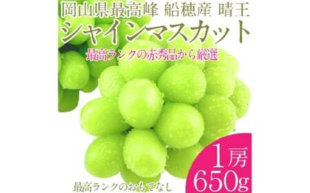  プレミアム シャインマスカット 晴王 1房 約650g 種無し  皮ごと食べる  フレッシュ  旬の美味しさ【2026年9月上旬-10月下旬 発送予定】【シャインマスカット マスカット ぶどう 葡萄 岡山県産   種無し 皮ごと食べる みずみずしい 9月～10月お届け フレッシュ 晴れの国おかやま 果物大国 贈答品 彩美菜果 岡山県 倉敷市】