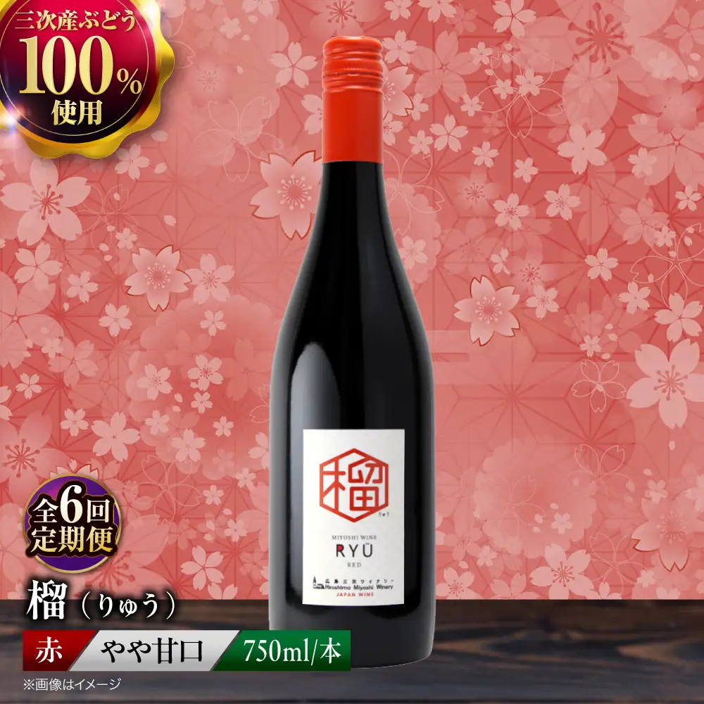 【全6回定期便】 赤ワイン 榴 りゅう RYU 750ml×1本 [APAZ139]赤ワイン