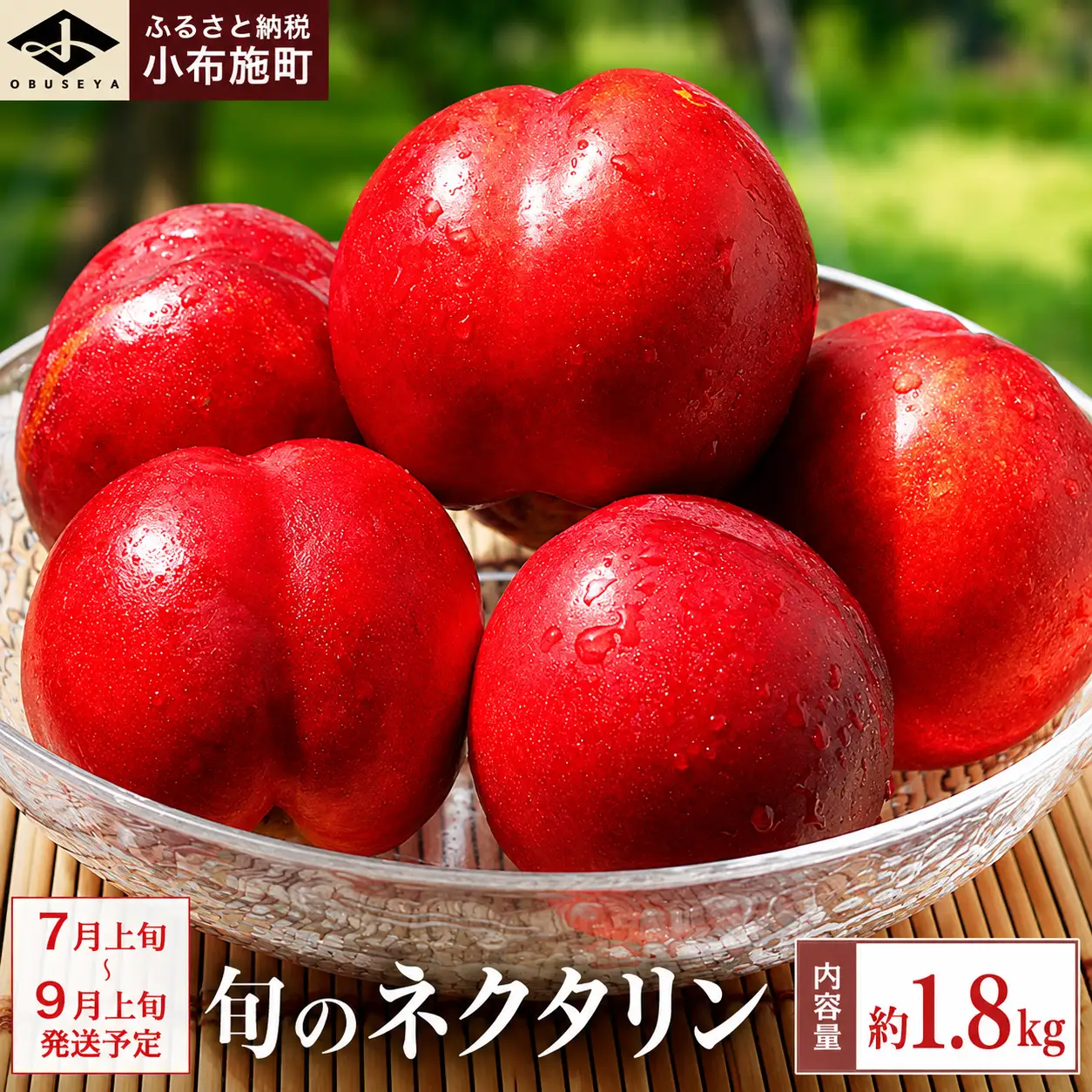旬のネクタリン 約1.8kg 5～15玉 ［小布施屋］ 果物 フルーツ 桃 もも 長野県産 小布施 冷蔵便 クール便 産地直送 数量限定 送料無料 令和8年産 【2026年7月上旬～9月上旬発送】［H-102］