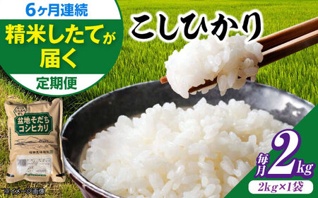 【全6回定期便】新米 令和8年産コシヒカリ 2kg [APBM026]