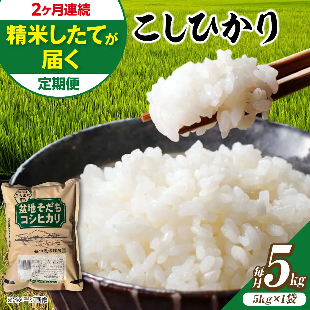 【全2回定期便】 米 盆地そだちこしひかり 5kg[APBM028]米