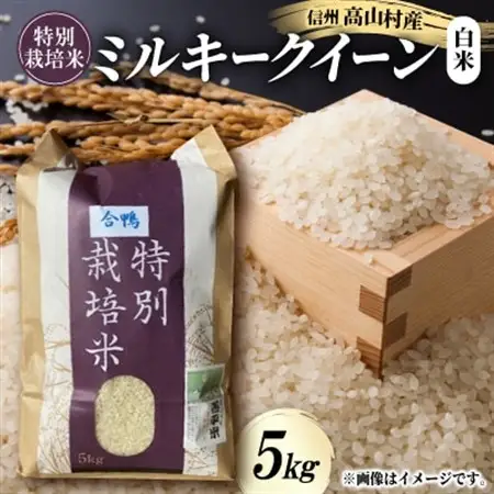 特別栽培米「ミルキークイーン」 白米5kg【1023915】