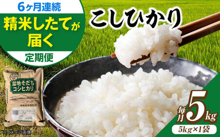 【全6回定期便】新米 令和8年産コシヒカリ 5kg [APBM030]