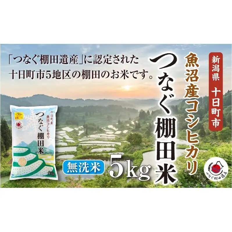 無洗米5kg　令和7年産新潟県十日町市魚沼産コシヒカリ「つなぐ棚田米」 米 こしひかり 無洗米 十日町市