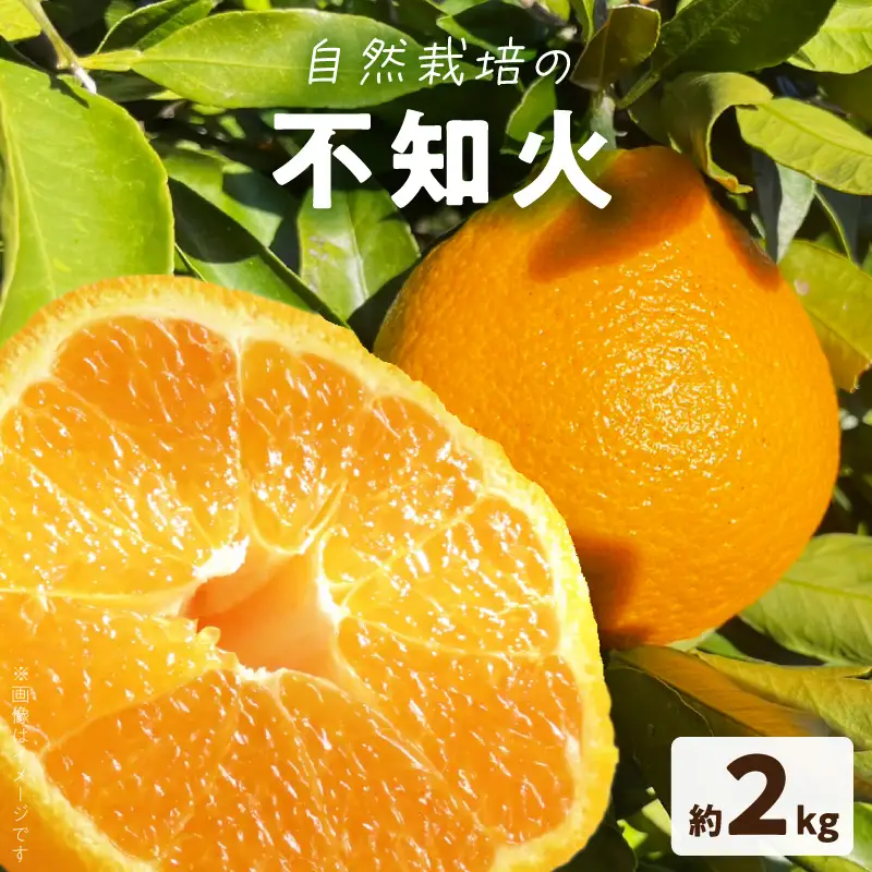 S178-004_【自然栽培】不知火 約2kg