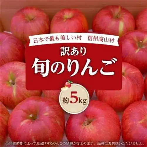 【2026年先行受付】日本で最も美しい村ー信州高山村ー　旬のりんご約5kg入り【訳あり品】【1696077】