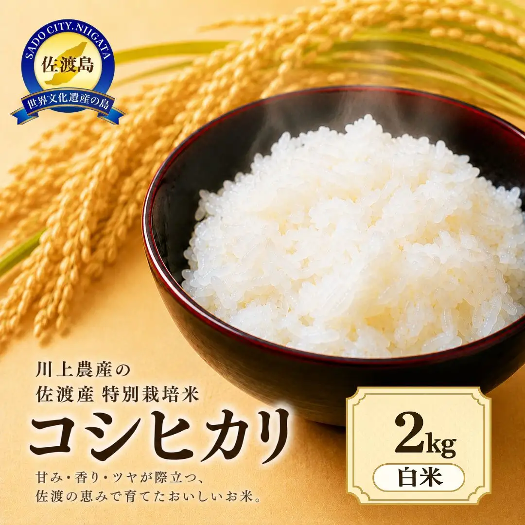 コシヒカリ 白米 2kg 川上農産 | 新潟県 佐渡市 コシヒカリ