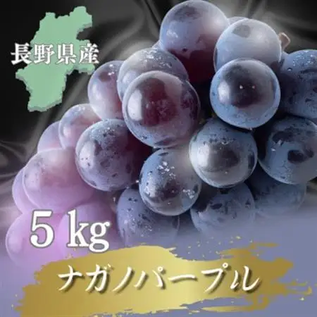 【2026年先行予約開始!】長野県中野市産ナガノパープル  5kg(8～12房)【配送不可地域：離島】【1682460】