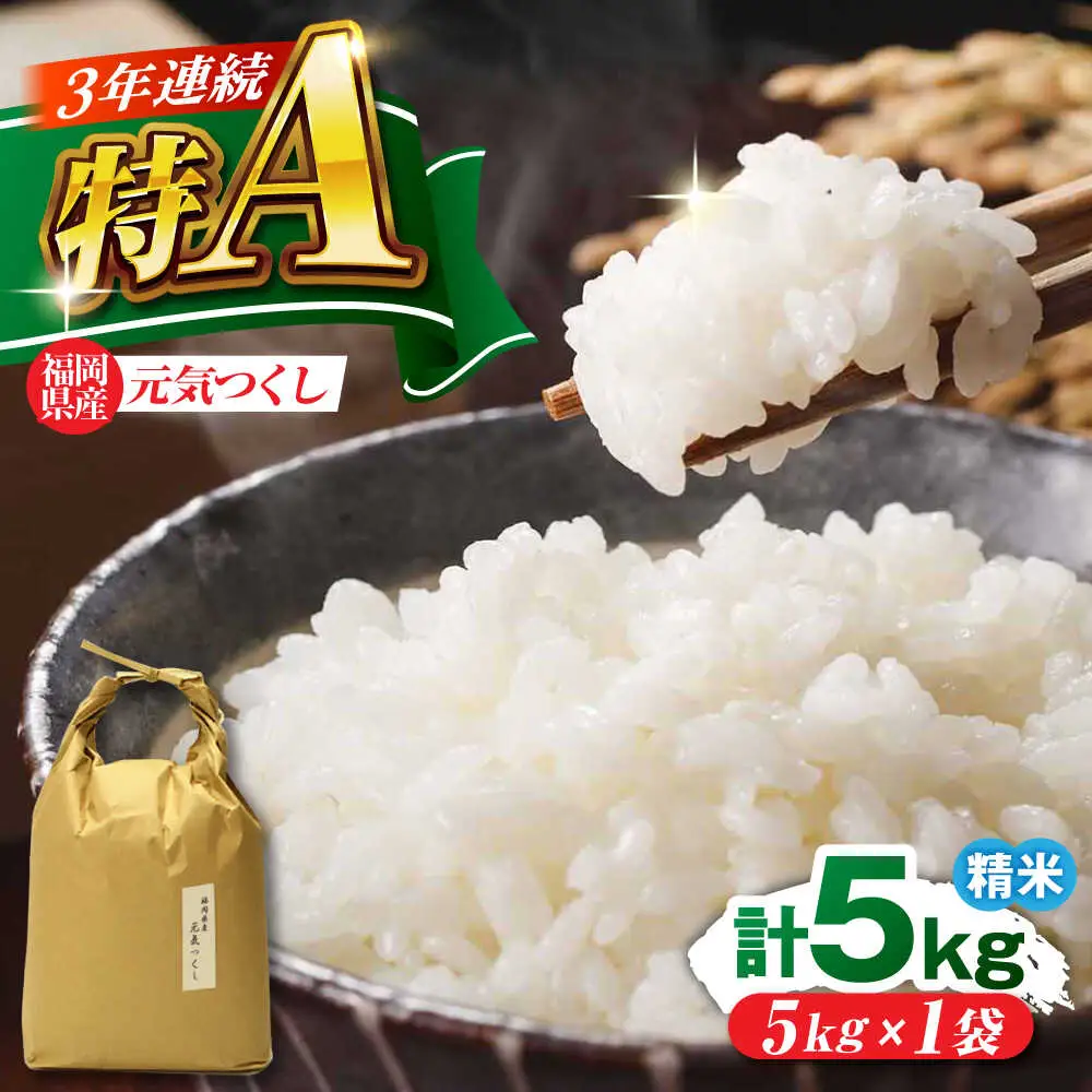 福岡県産 元気つくし 白米 5kg×1袋 [BGAF025]元気つくし