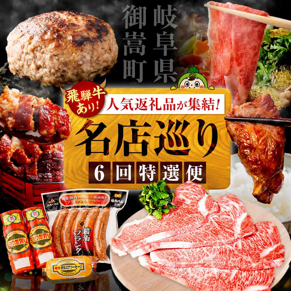 【6回定期便】御嵩町の名店横断！贅沢バラエティ便 / 飛騨牛 鰻 ハラミ 明方ハム ハンバーグ / 岐阜県 御嵩町[AVBM018]
