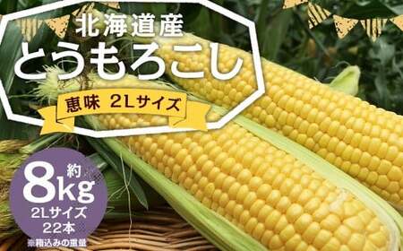 北海道産 とうもろこし 恵味 2Lサイズ 22本 約8kg 1箱 国産 トウモロコシ 冷蔵 【2026年8月上旬-8月下旬迄発送予定】