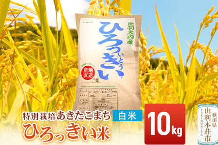 【白米】 秋田県産 あきたこまち 10kg  令和7年産 特別栽培米 ひろっきい米