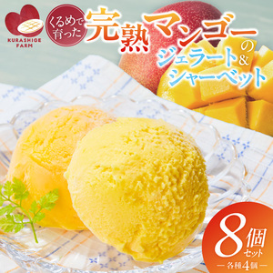 【2027年7月お届け】完熟マンゴーのジェラート＆シャーベット130ml×8個入り  〔Dw012-08〕