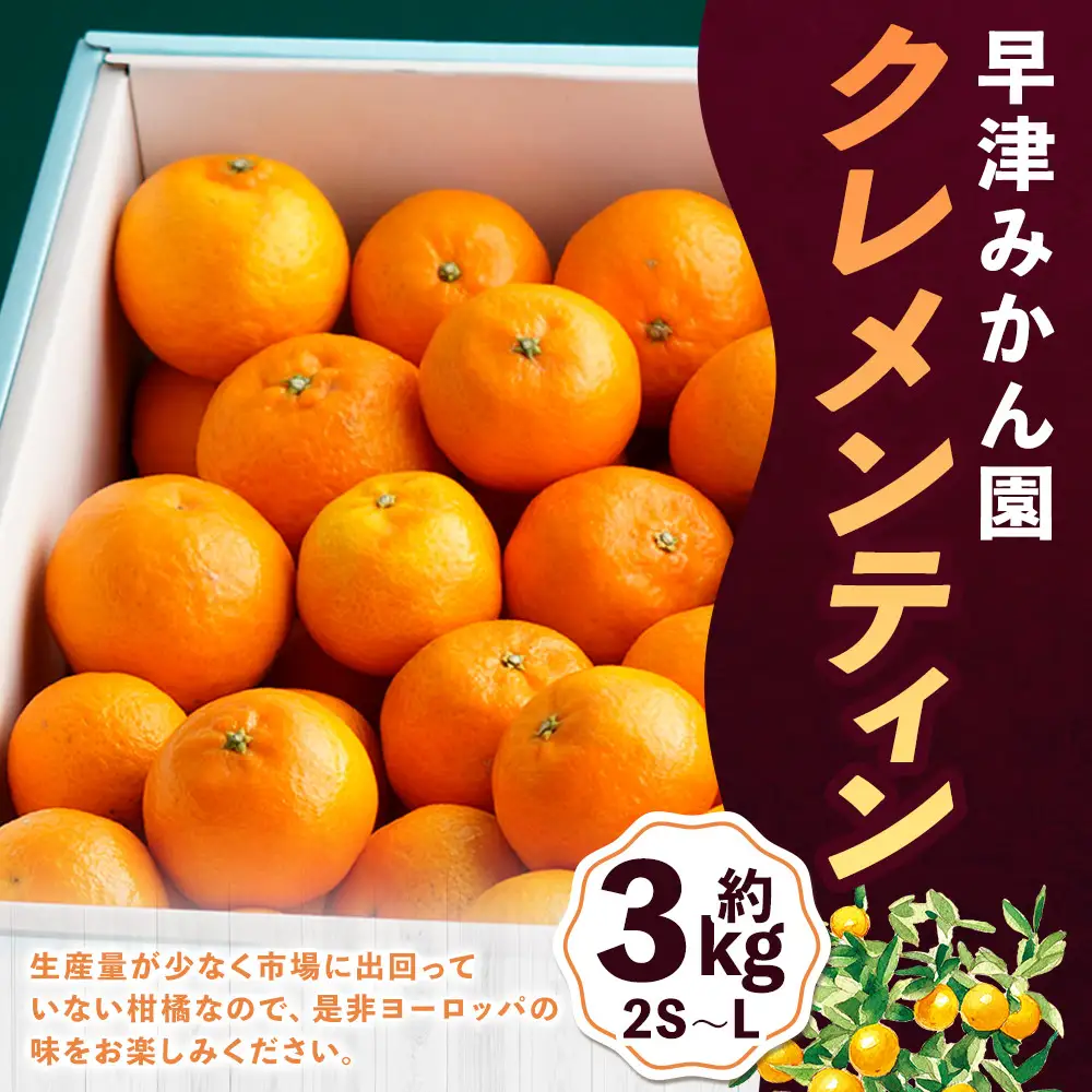 L29x1x1 早津みかん園のクレメンティン 3kg 【2027年1月上旬～2月下旬まで順次発送予定】 クレメンティン ヨーロッパ生まれ 太良みかん みかん ミカン 蜜柑 フルーツ くだもの 果物 太良町 国産