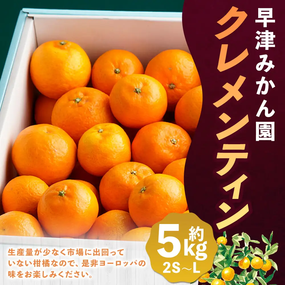 N87x2 早津みかん園のクレメンティン 5kg 【2027年1月上旬～2月下旬まで順次発送予定】 クレメンティン ヨーロッパ生まれ 太良みかん みかん ミカン 蜜柑 フルーツ くだもの 果物 太良町 国産