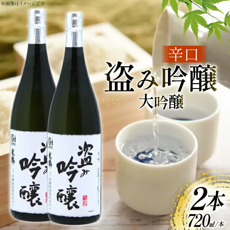 日本酒 辛口 盗み吟醸 大吟 720ml 2本 セット