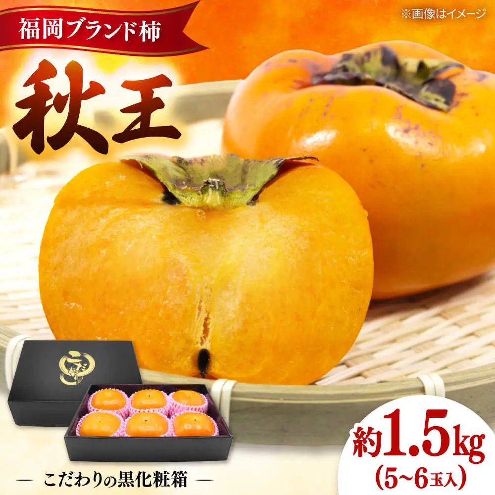 秋の贅沢、濃厚であまーい柿の新ブランド「秋王」約1.5kg こだわりの黒化粧箱／2026年10月-11月頃より発送予定 桂川町/一般社団法人地域商社ふるさぽ[ADCF009]