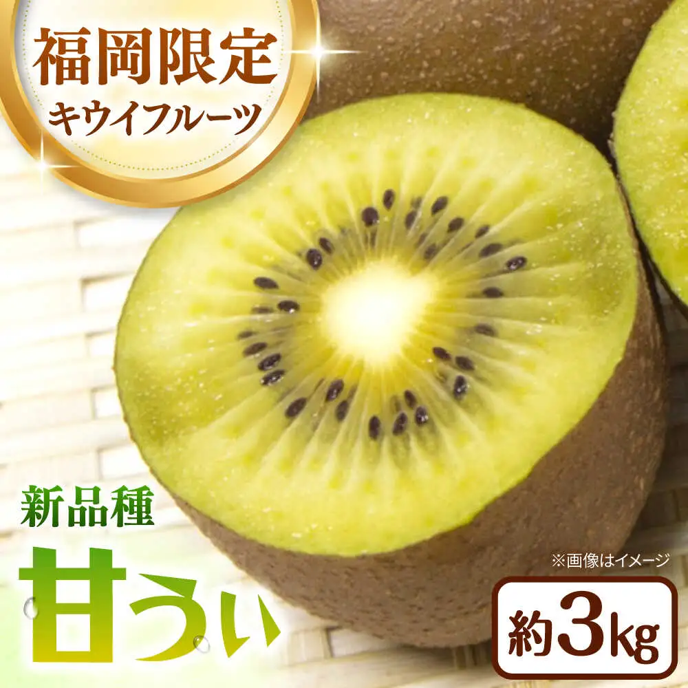 福岡限定品種キウイ「甘うぃ」約3kg／2026年11月頃より発送予定 桂川町/一般社団法人地域商社ふるさぽ[ADCF012]