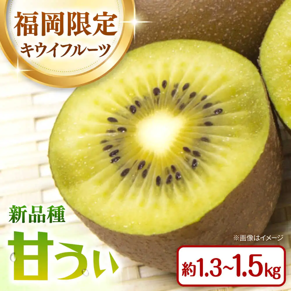 福岡限定品種キウイ「甘うぃ」約1.3kg-約1.5kg／2026年11月頃より発送予定 桂川町/一般社団法人地域商社ふるさぽ[ADCF013]