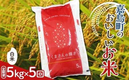 FK7-0268_【5カ月定期】【嘉島町産】くまさんの輝き 5kg 米 お米 コメ ごはん ご飯 食品 九州 熊本県 熊本 嘉島