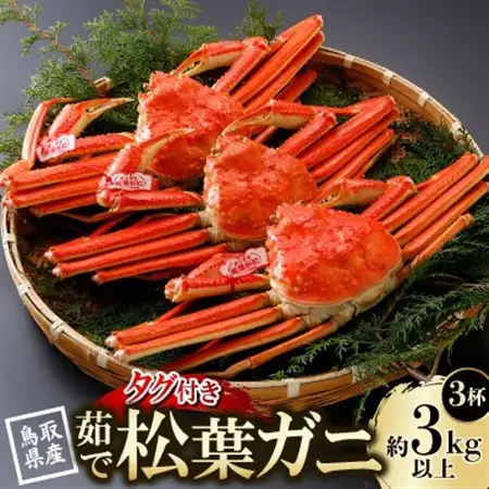 【先行予約】鳥取県産 タグ付き 茹松葉がに 1kg以上×3杯(中村商店)26年12月・27年1月発送【配送不可地域：離島・北海道・沖縄県・東北・信越、北陸】【1692755】